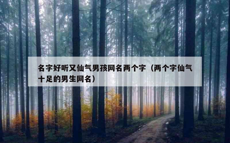 名字好听又仙气男孩网名两个字（两个字仙气十足的男生网名）