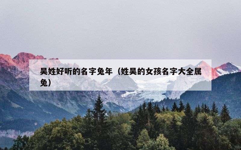 吴姓好听的名字兔年（姓吴的女孩名字大全属兔）