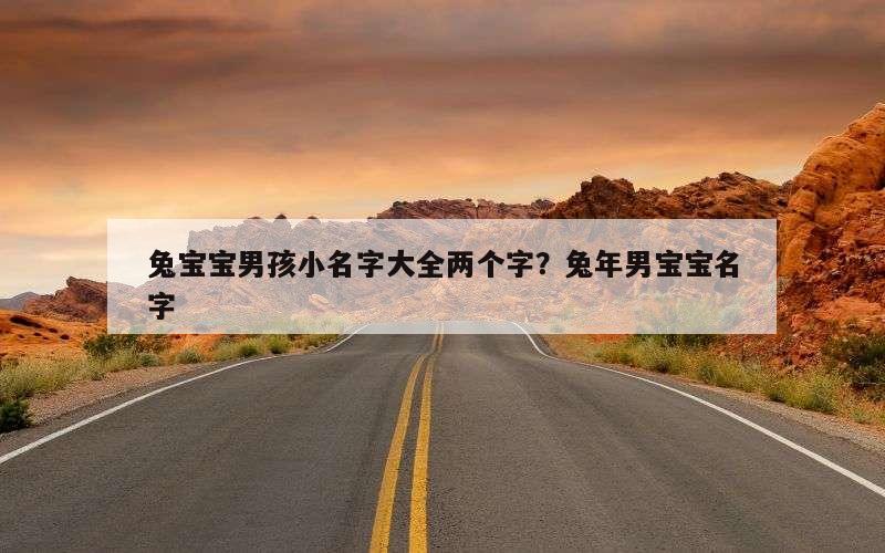 兔宝宝男孩小名字大全两个字？兔年男宝宝名字