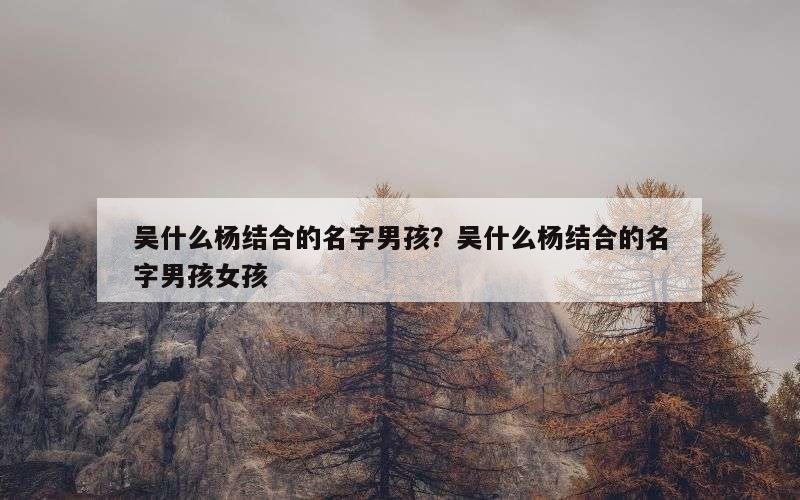 吴什么杨结合的名字男孩？吴什么杨结合的名字男孩女孩