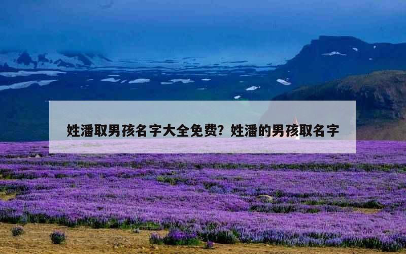 姓潘取男孩名字大全免费？姓潘的男孩取名字