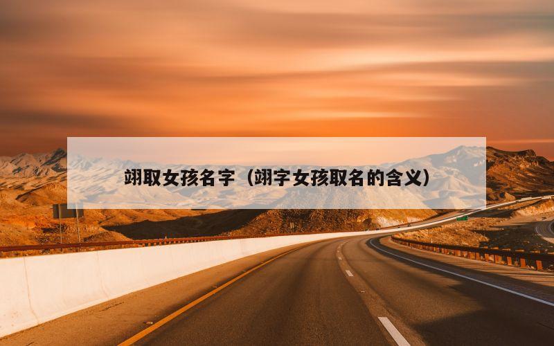 翊取女孩名字（翊字女孩取名的含义）