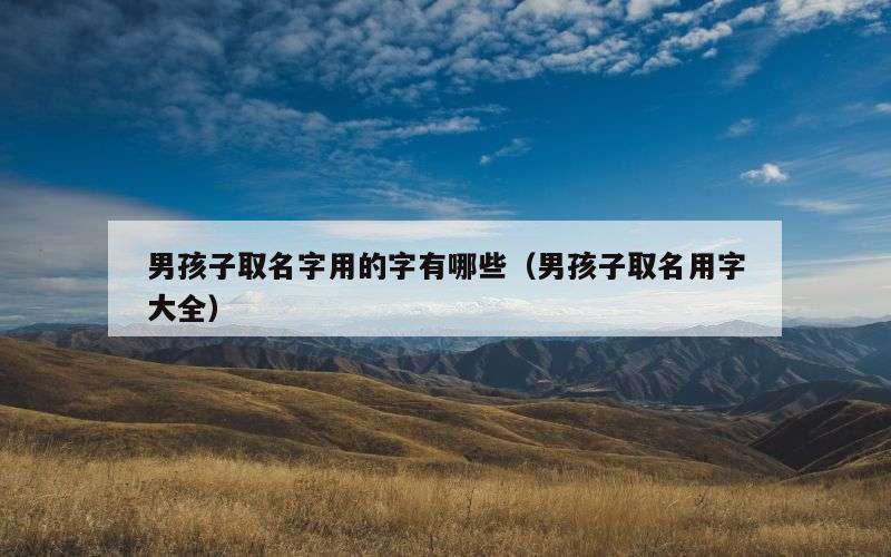 男孩子取名字用的字有哪些（男孩子取名用字大全）