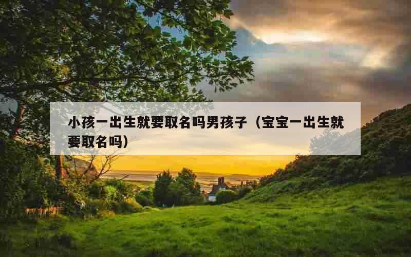 小孩一出生就要取名吗男孩子（宝宝一出生就要取名吗）