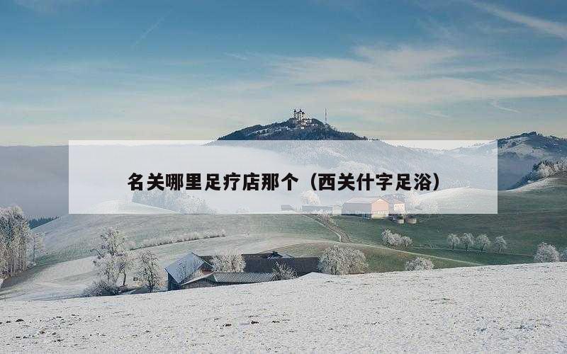 名关哪里足疗店那个（西关什字足浴）