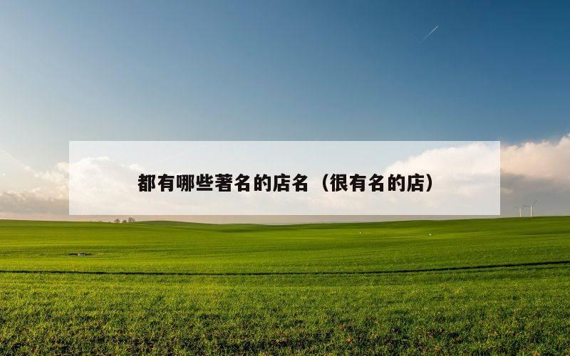 都有哪些著名的店名（很有名的店）