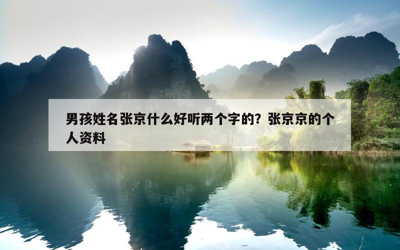 男孩姓名张京什么好听两个字的？张京京的个人资料