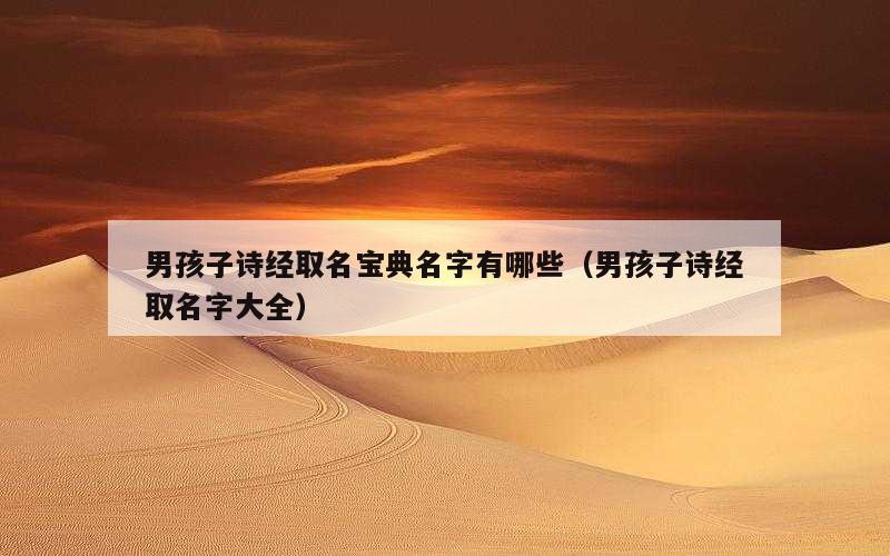 男孩子诗经取名宝典名字有哪些（男孩子诗经取名字大全）