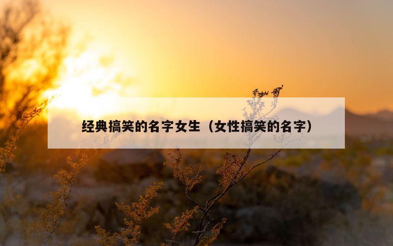 经典搞笑的名字女生（女性搞笑的名字）
