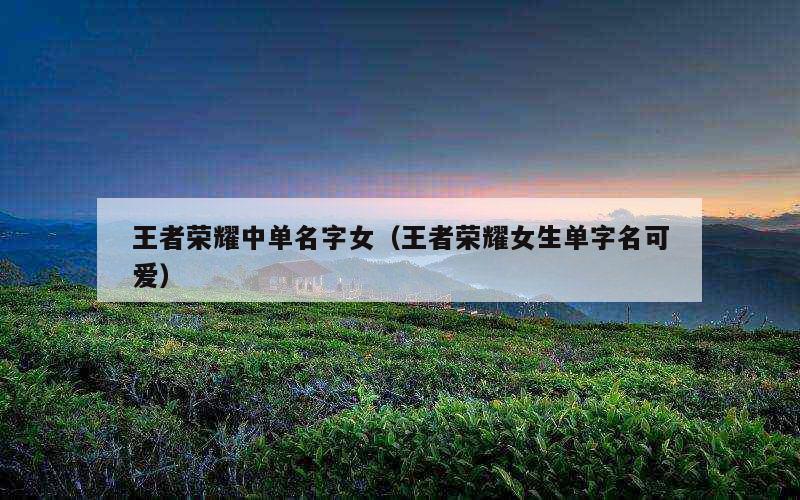 王者荣耀中单名字女（王者荣耀女生单字名可爱）