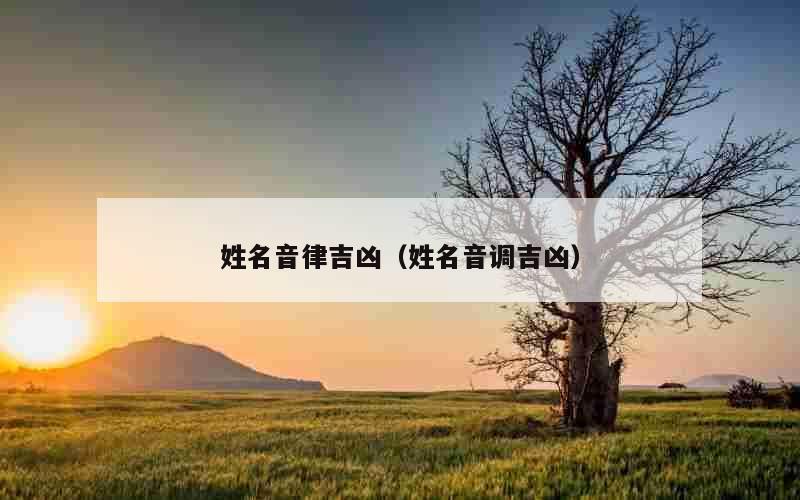 姓名音律吉凶（姓名音调吉凶）
