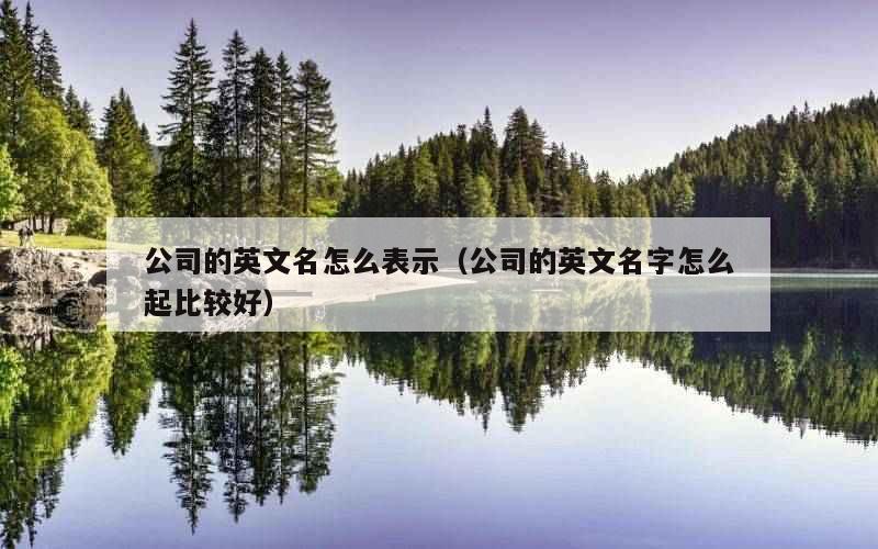 公司的英文名怎么表示（公司的英文名字怎么起比较好）