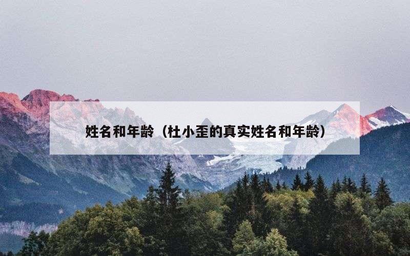 姓名和年龄（杜小歪的真实姓名和年龄）