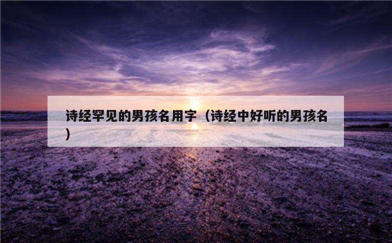 诗经罕见的男孩名用字（诗经中好听的男孩名）