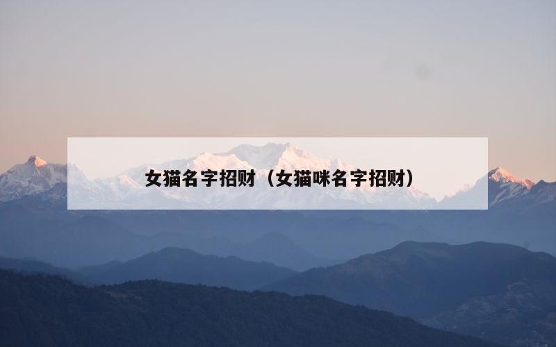 女猫名字招财（女猫咪名字招财）