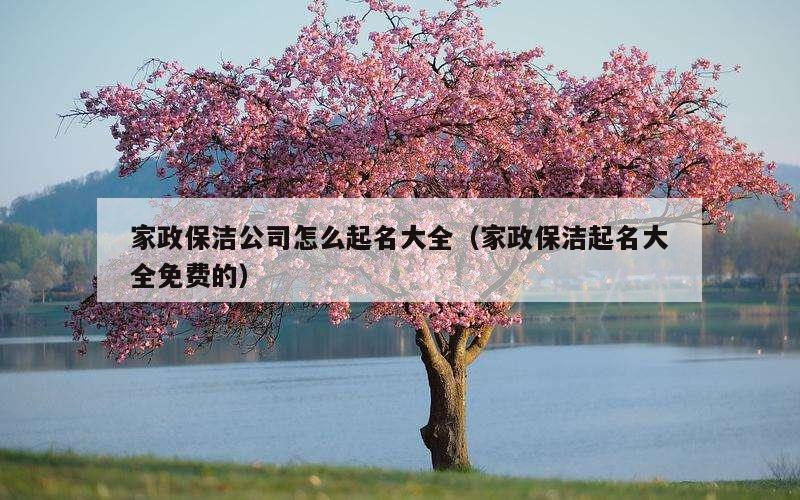 家政保洁公司怎么起名大全（家政保洁起名大全免费的）