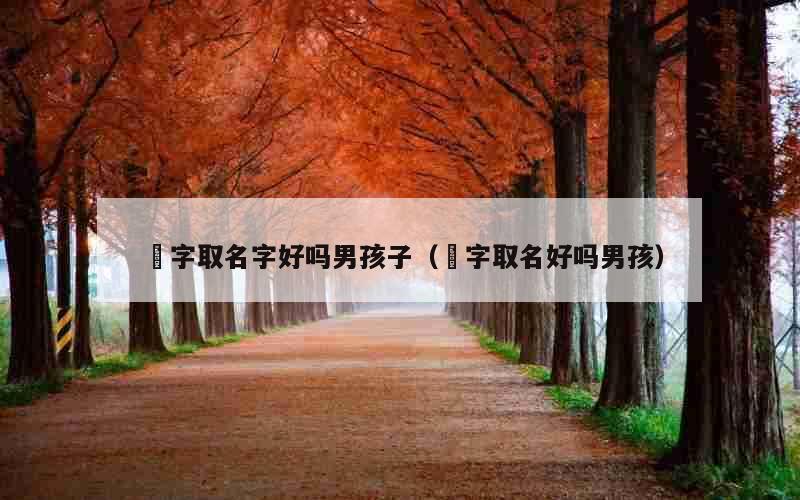 珵字取名字好吗男孩子（炘字取名好吗男孩）