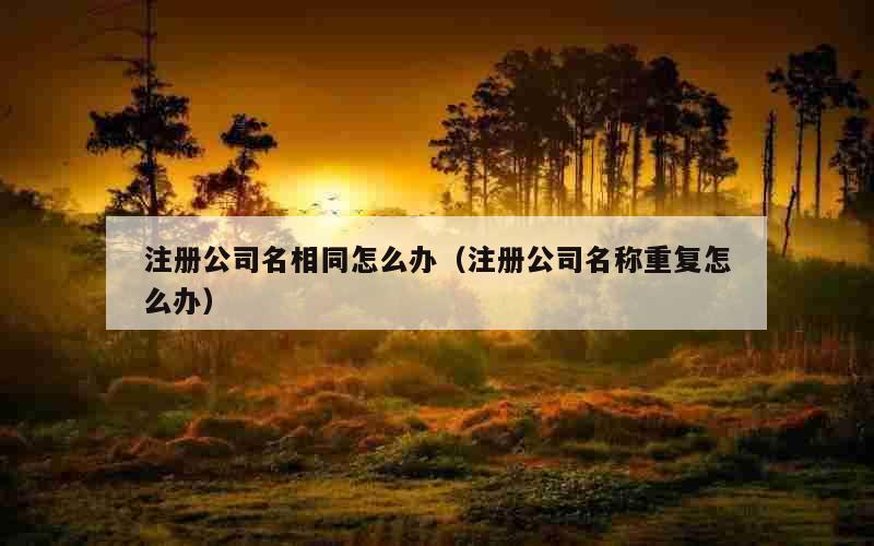 注册公司名相同怎么办（注册公司名称重复怎么办）