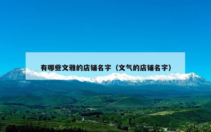 有哪些文雅的店铺名字（文气的店铺名字）