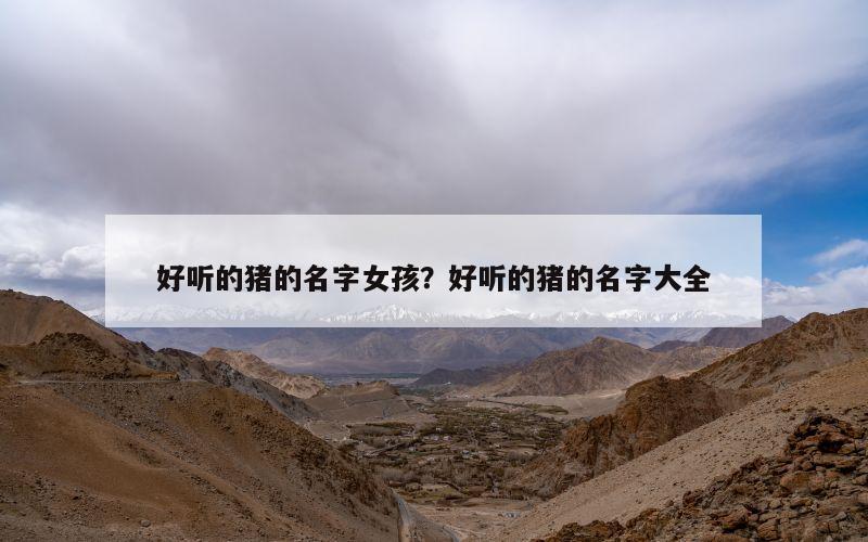 好听的猪的名字女孩？好听的猪的名字大全