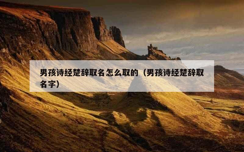 男孩诗经楚辞取名怎么取的（男孩诗经楚辞取名字）