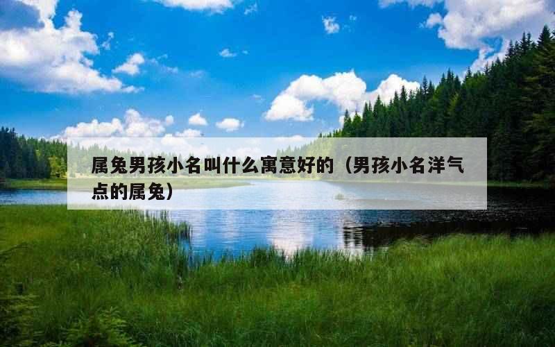 属兔男孩小名叫什么寓意好的（男孩小名洋气点的属兔）