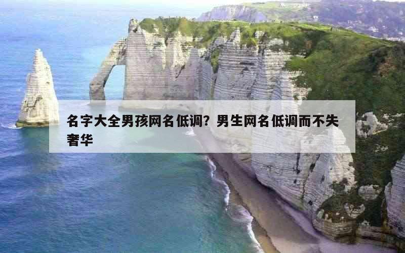 名字大全男孩网名低调？男生网名低调而不失奢华