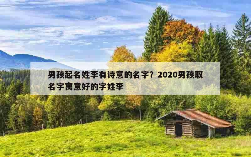 男孩起名姓李有诗意的名字？2020男孩取名字寓意好的字姓李