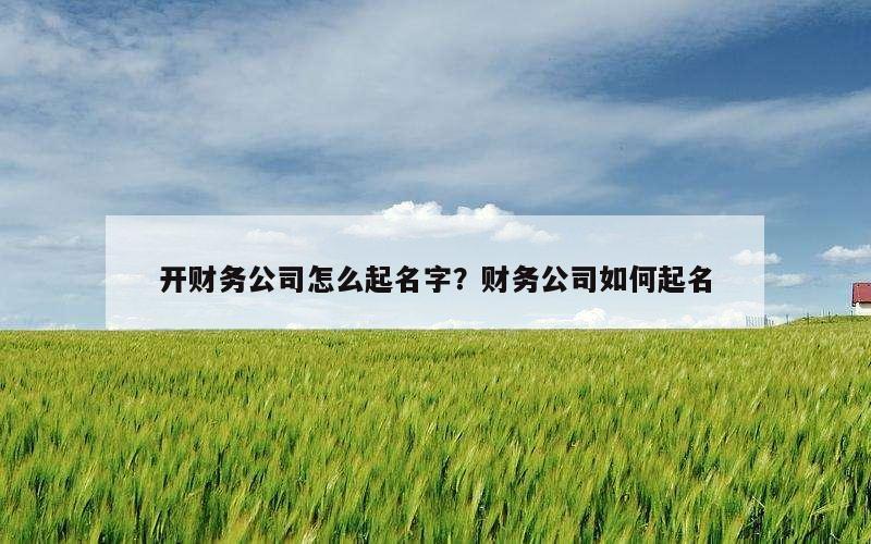 开财务公司怎么起名字？财务公司如何起名