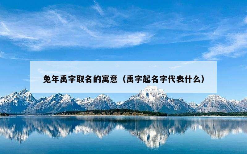兔年禹字取名的寓意（禹字起名字代表什么）