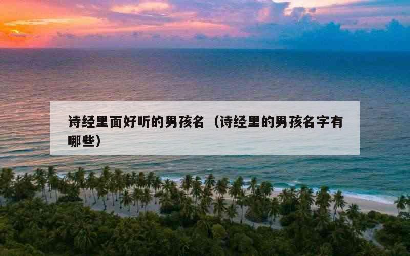 诗经里面好听的男孩名（诗经里的男孩名字有哪些）
