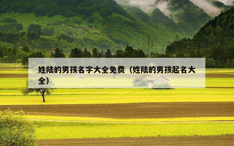 姓陆的男孩名字大全免费（姓陆的男孩起名大全）