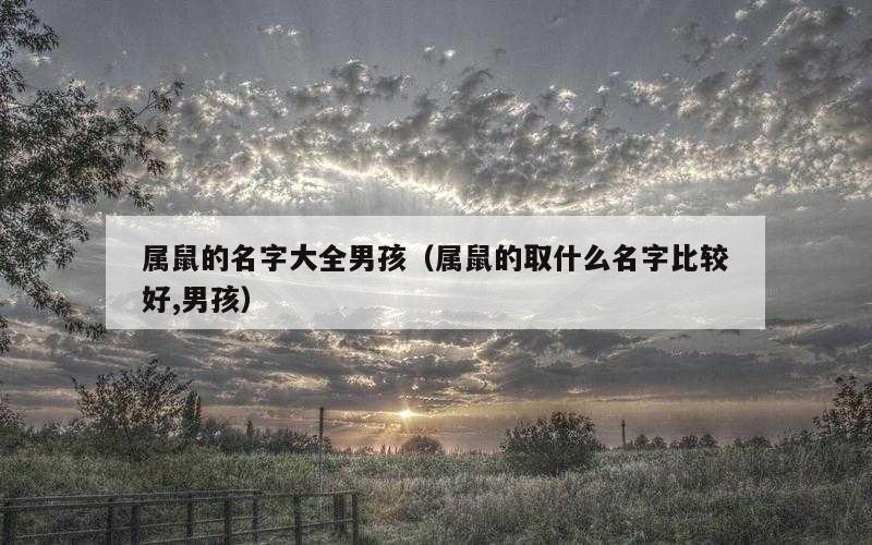 属鼠的名字大全男孩（属鼠的取什么名字比较好,男孩）