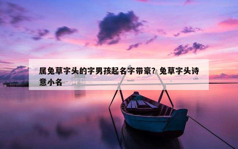 属兔草字头的字男孩起名字带豪？兔草字头诗意小名