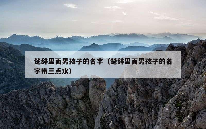 楚辞里面男孩子的名字（楚辞里面男孩子的名字带三点水）