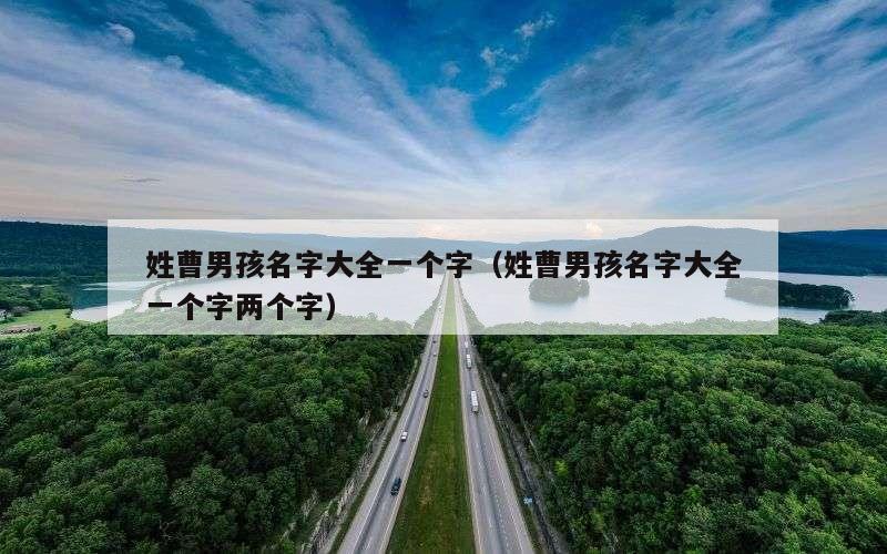 姓曹男孩名字大全一个字（姓曹男孩名字大全一个字两个字）