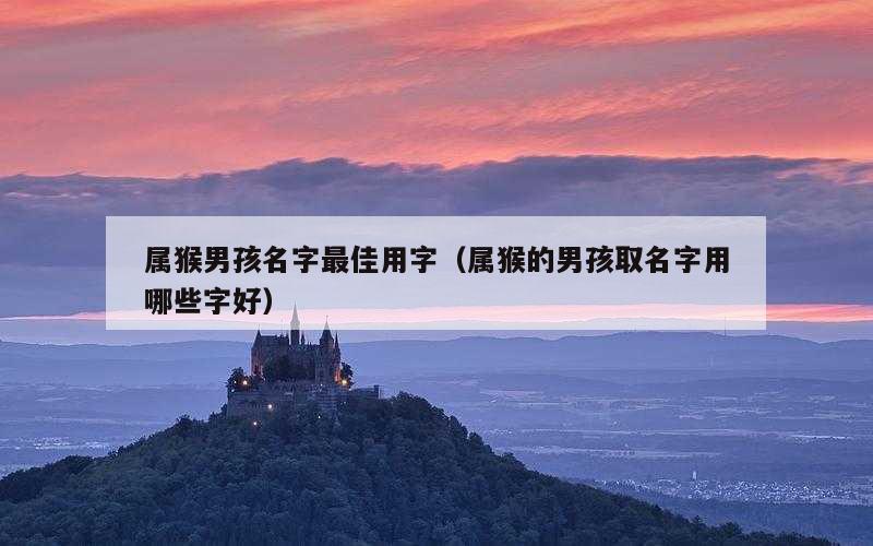 属猴男孩名字最佳用字（属猴的男孩取名字用哪些字好）