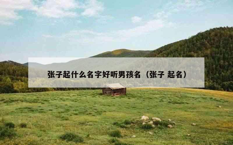 张子起什么名字好听男孩名（张子 起名）