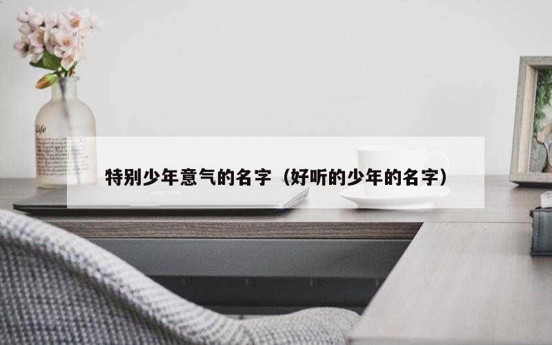 特别少年意气的名字（好听的少年的名字）