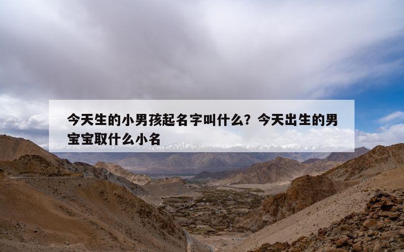 今天生的小男孩起名字叫什么？今天出生的男宝宝取什么小名