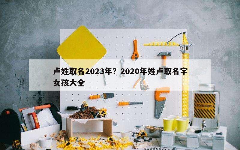 卢姓取名2023年？2020年姓卢取名字女孩大全