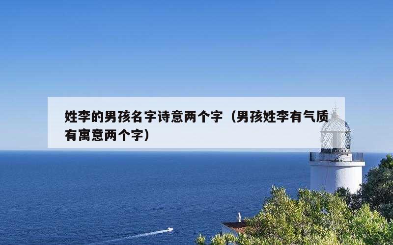 姓李的男孩名字诗意两个字（男孩姓李有气质有寓意两个字）