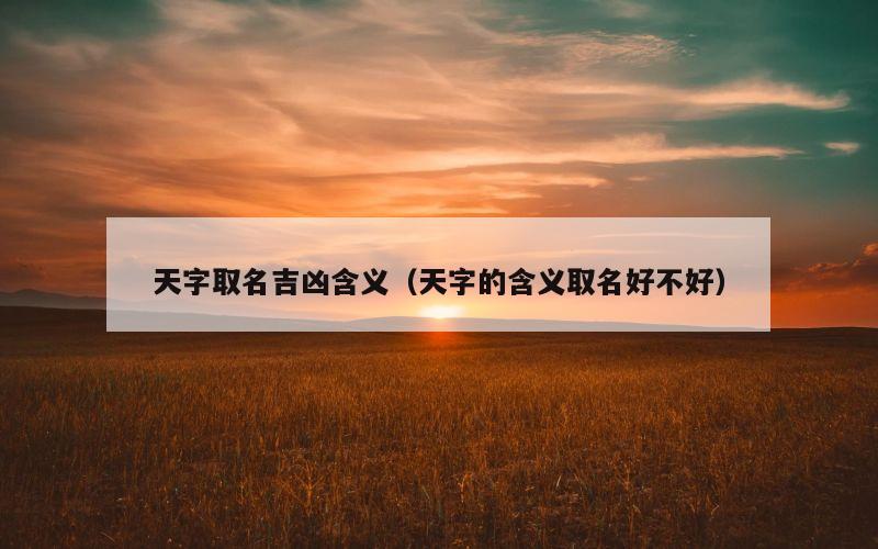 天字取名吉凶含义（天字的含义取名好不好）