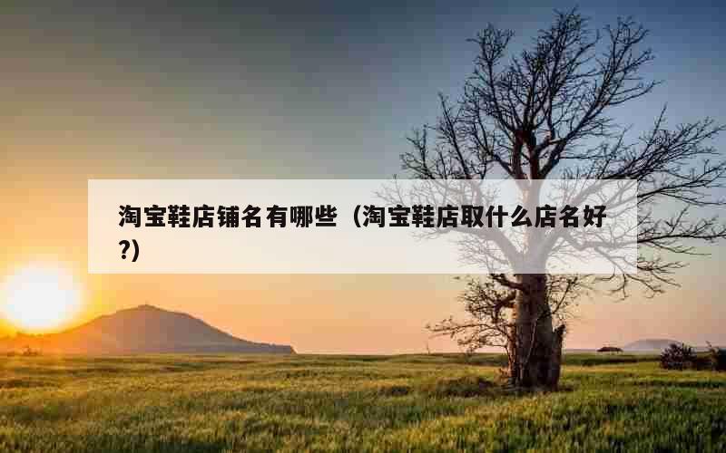 淘宝鞋店铺名有哪些（淘宝鞋店取什么店名好?）
