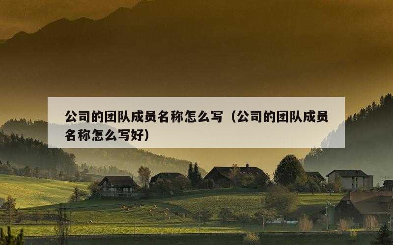 公司的团队成员名称怎么写（公司的团队成员名称怎么写好）