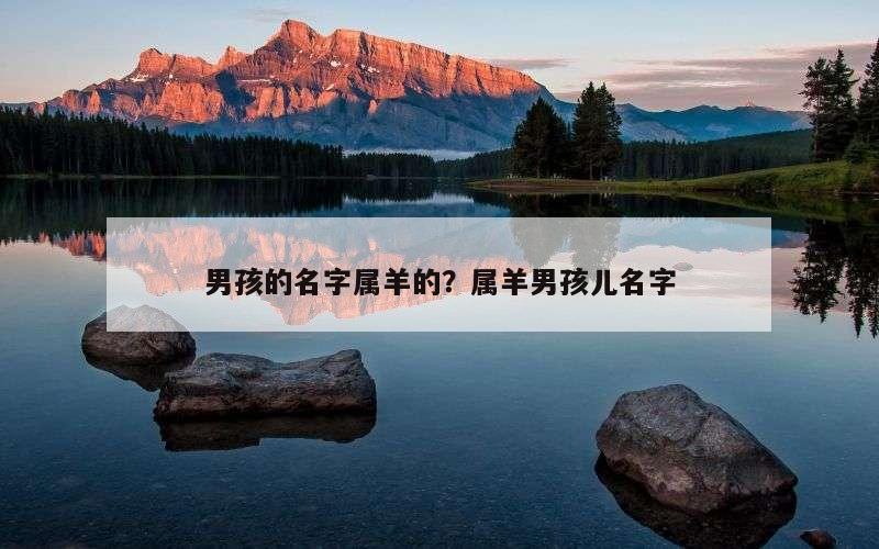 男孩的名字属羊的？属羊男孩儿名字