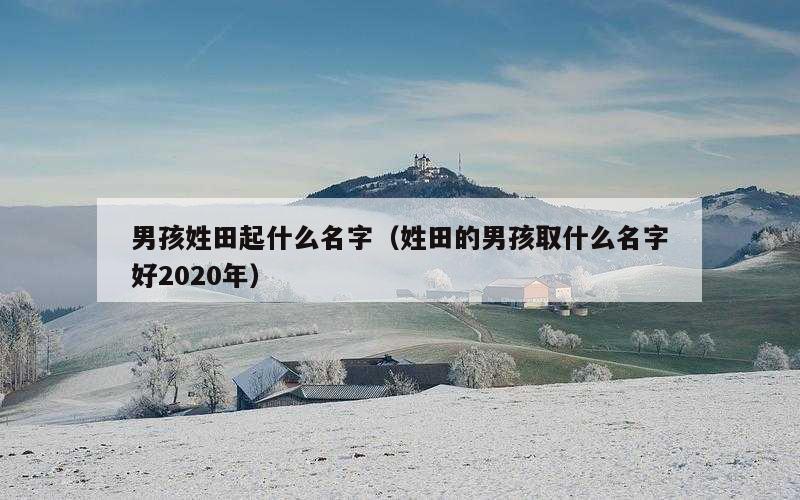 男孩姓田起什么名字（姓田的男孩取什么名字好2020年）