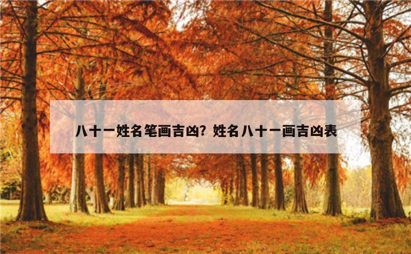 八十一姓名笔画吉凶？姓名八十一画吉凶表