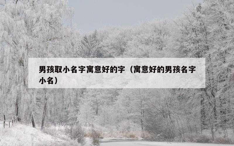 男孩取小名字寓意好的字（寓意好的男孩名字小名）