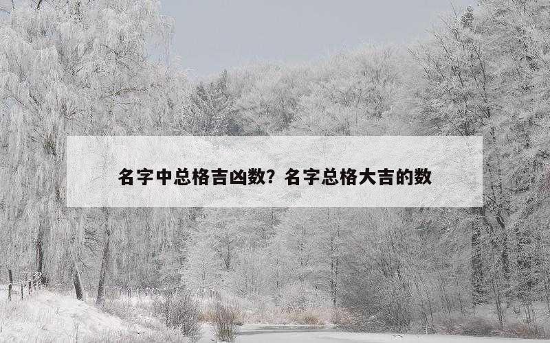 名字中总格吉凶数？名字总格大吉的数
